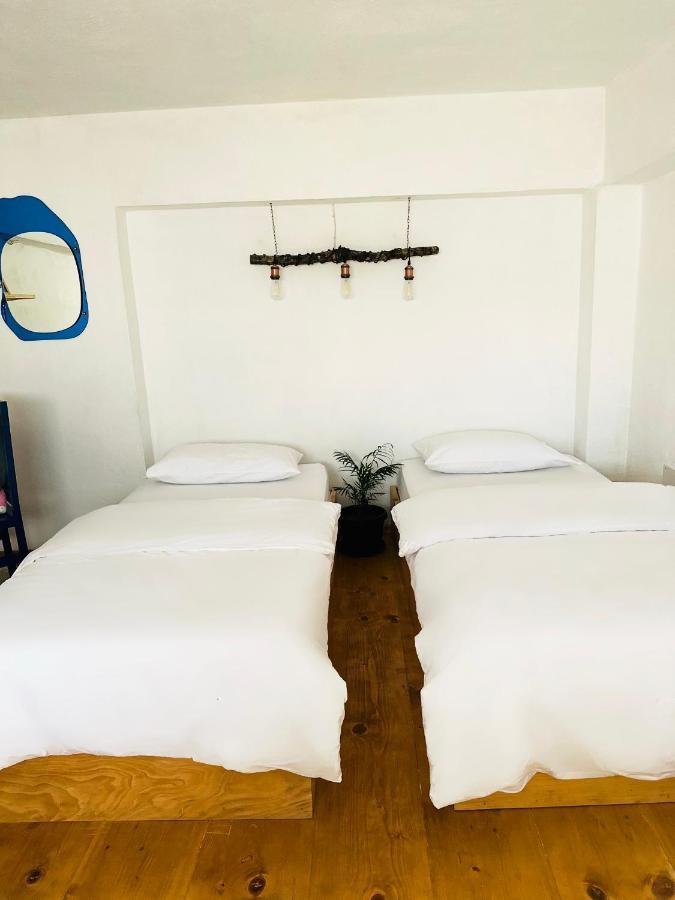 My Wooden Apartments ティラナ エクステリア 写真